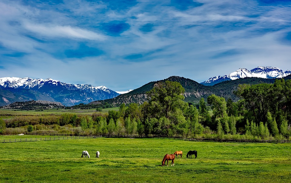 Colorado's EPR Law