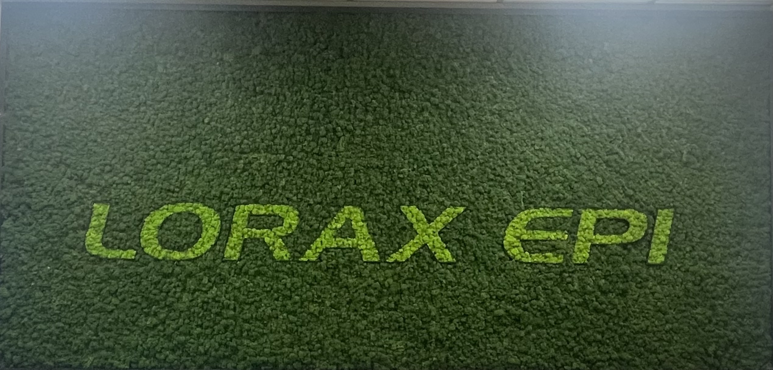 A Year at Lorax EPI: More Than Just a Placement